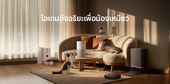 Video Cover Image มาร่วมฉลองวันแมวสากลไปด้วยกัน!