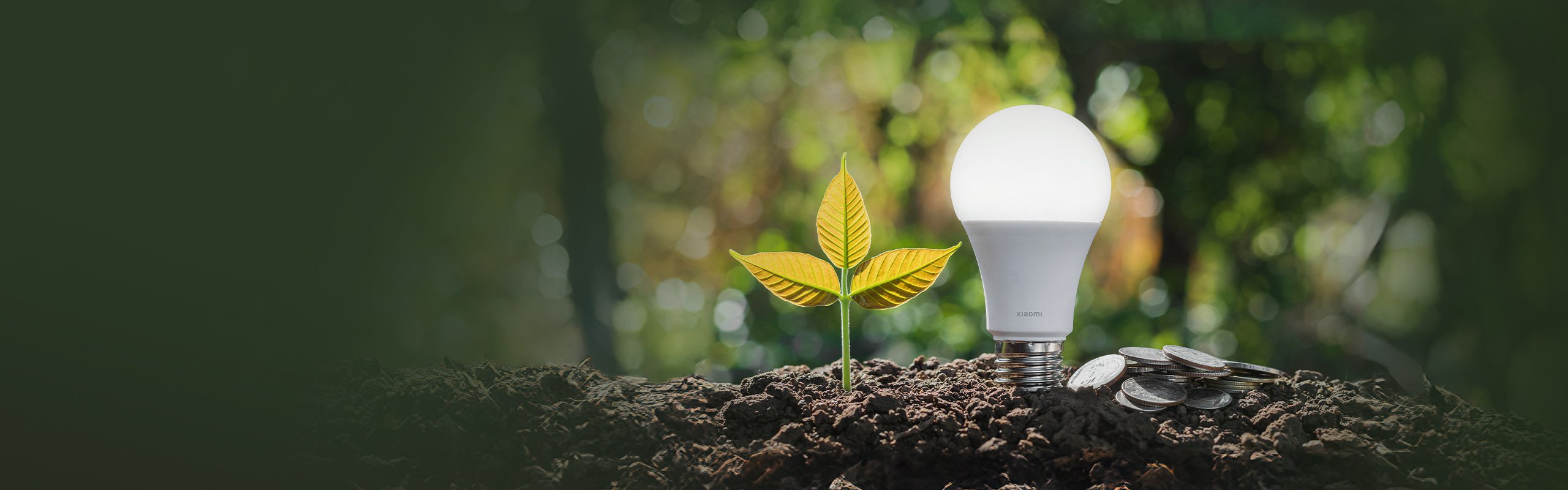 Xiaomi Smart LED Bulb (White and Color)