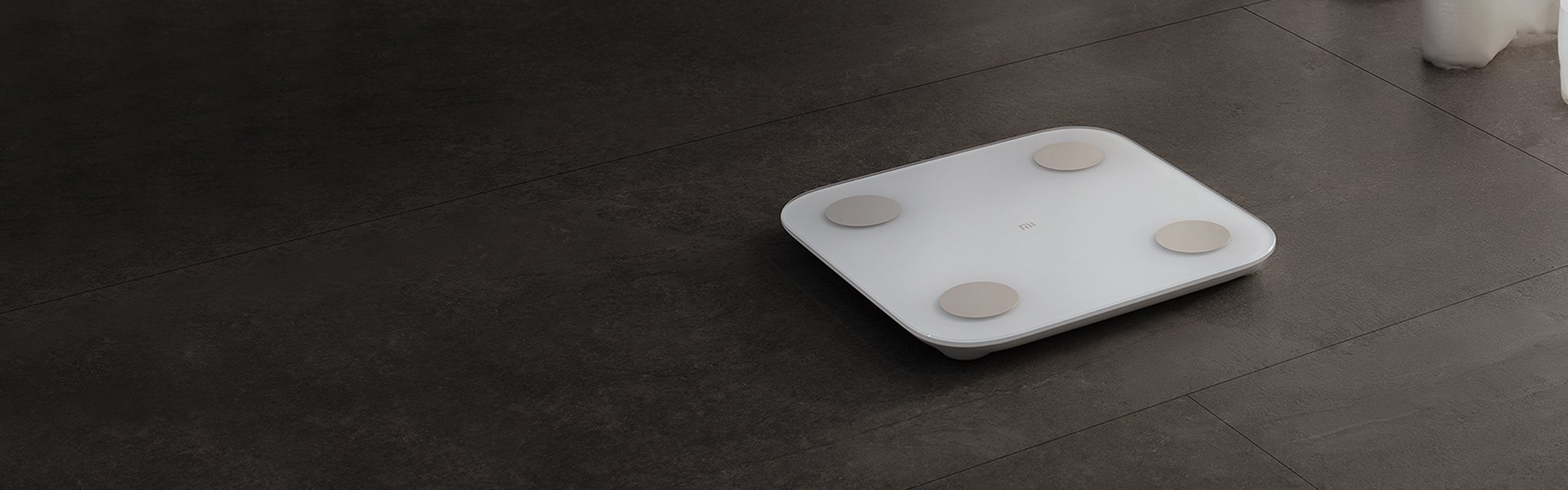 Mi Body Composition Scale 2