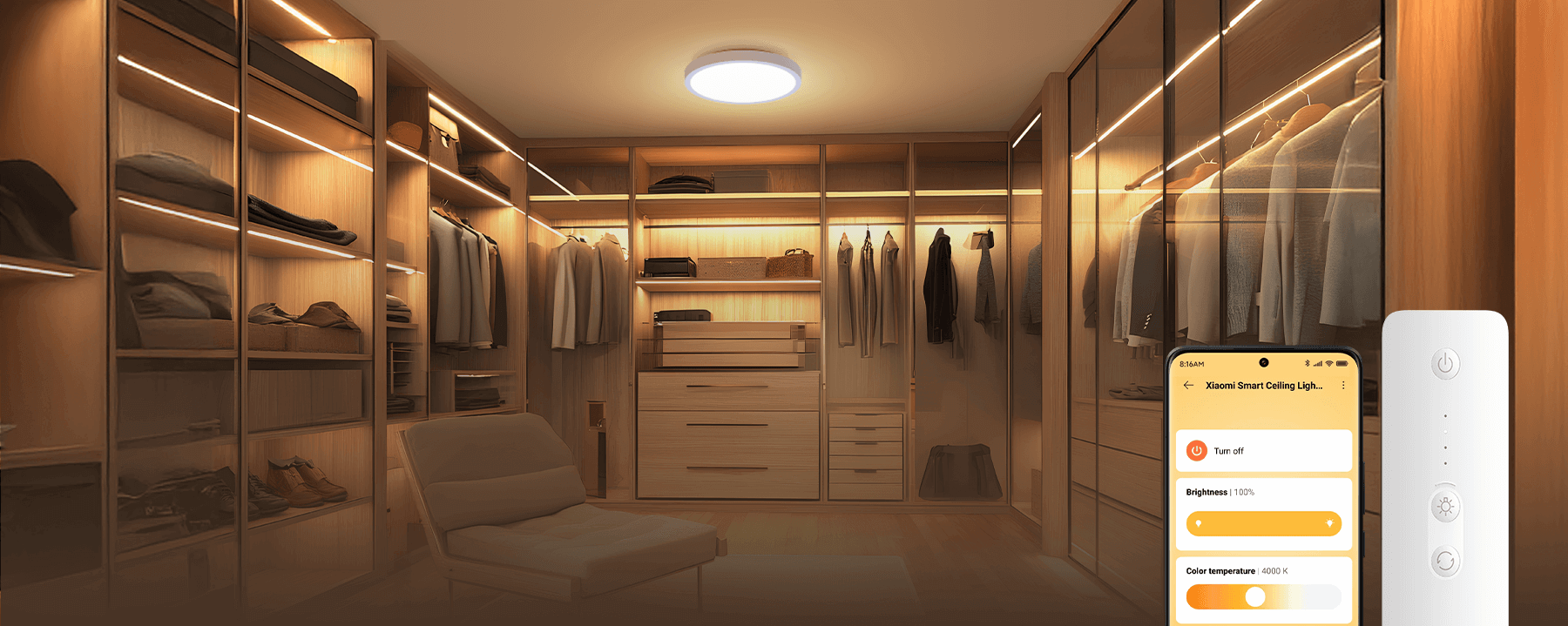 Xiaomi Smart Ceiling Light D20