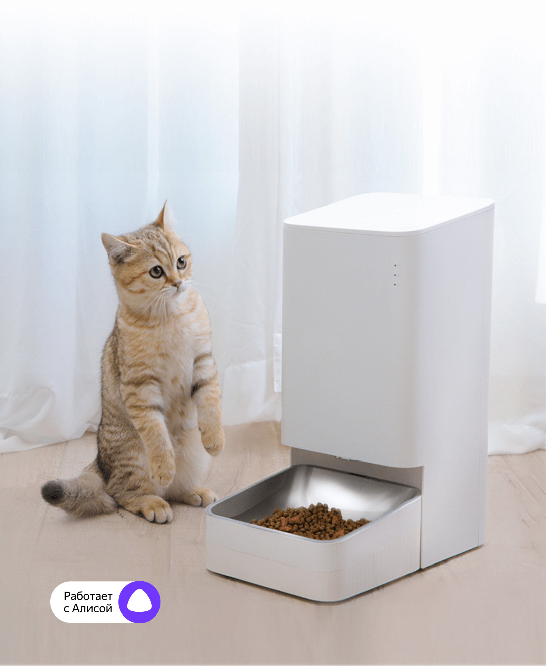 Xiaomi Smart Pet Food Feeder - Xiaomi Россия