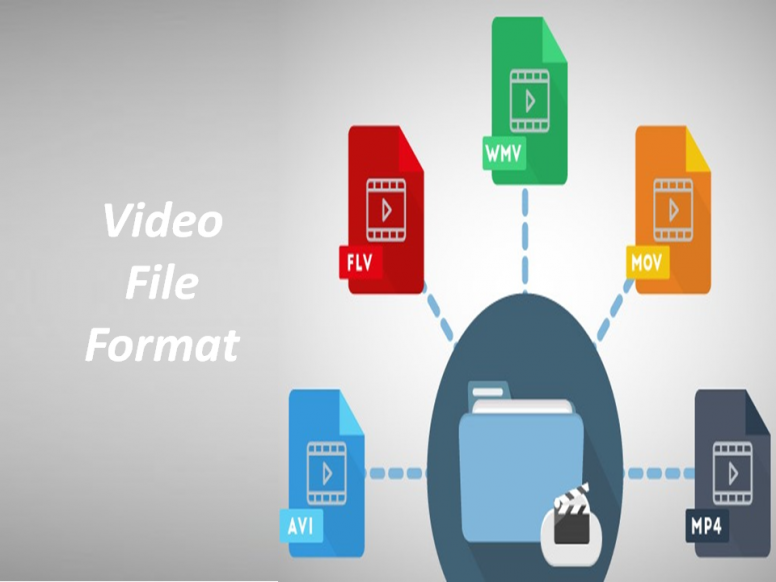 Video file. Format Technology. Source Insight.