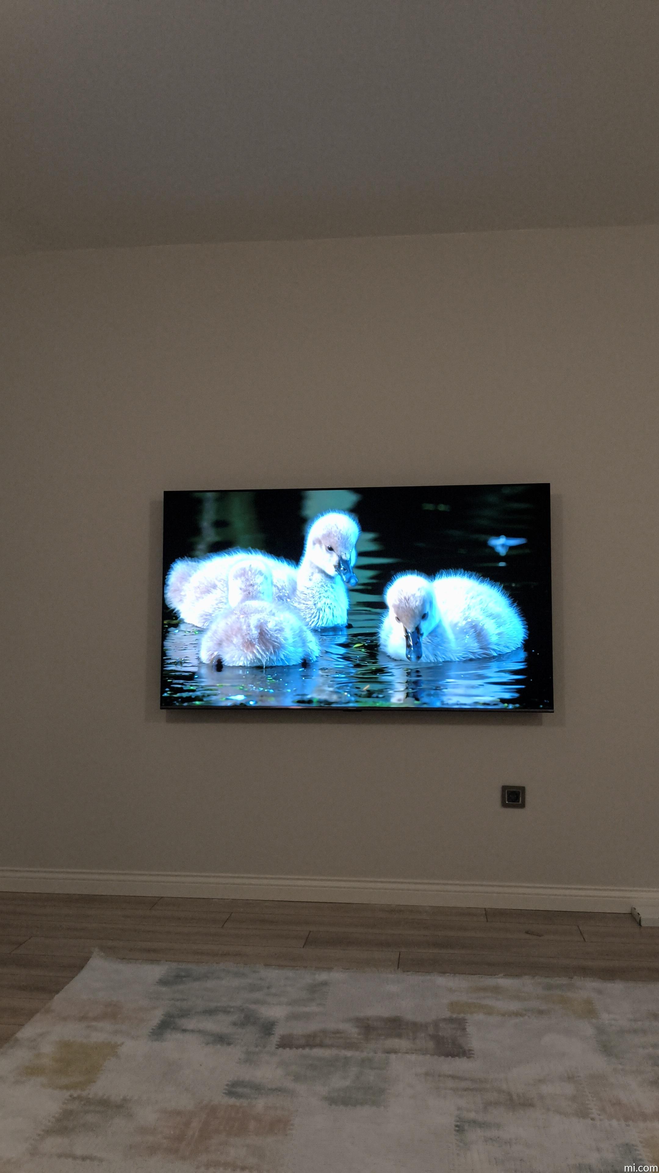 Xiaomi TV S Pro Mini LED 75'' 2026 Teknik Özellikler, Fonksiyonlar