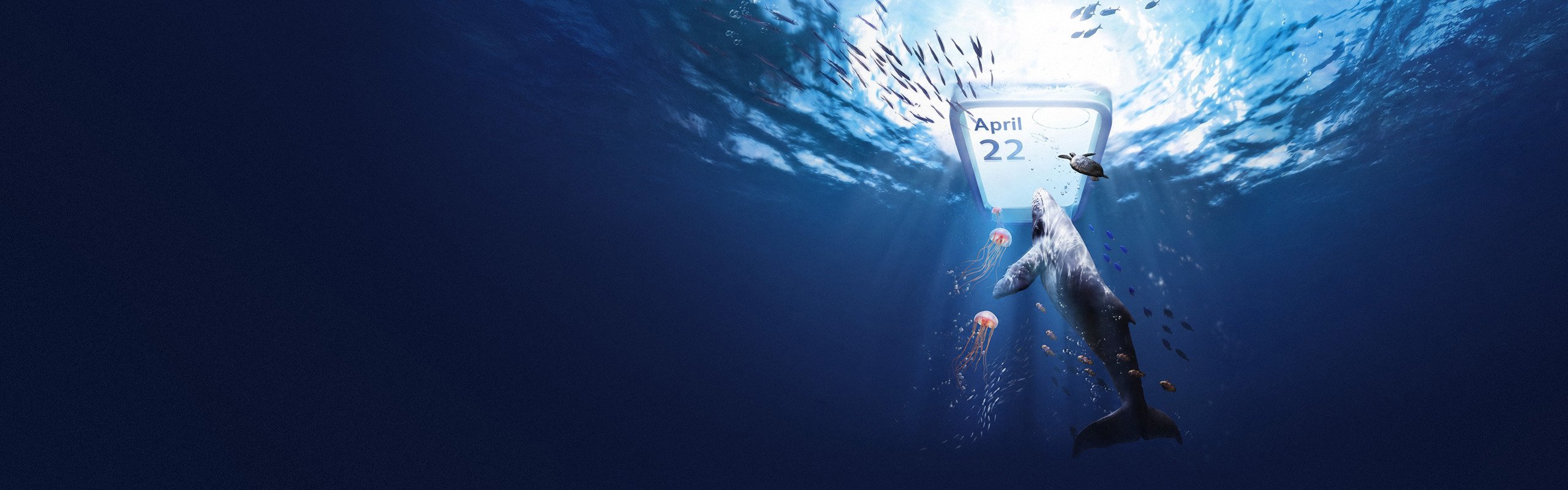 Earth Day 2024: Shoring up with Xiaomi