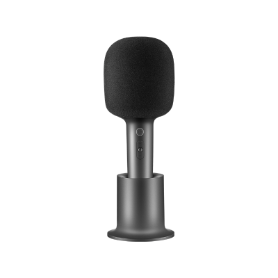 Xiaomi Karaoke Microphone