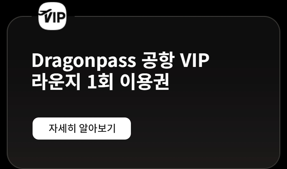 드래곤패스 공항 VIP 통행권 1회 사용권, 자세한 정보를 보려면 클릭하세요.