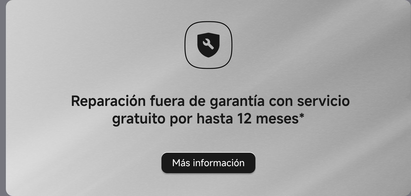 12 meses