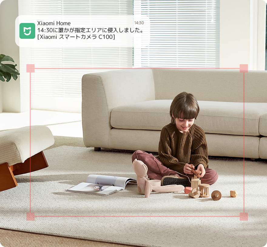 Xiaomi Smart Camera C100