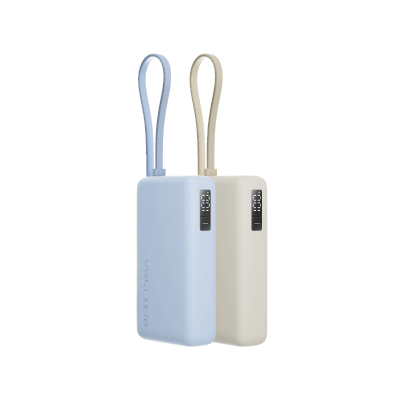 Xiaomi 67W Power Bank 10000(Integrated Cable) 