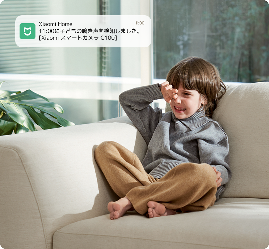 Xiaomi Smart Camera C100