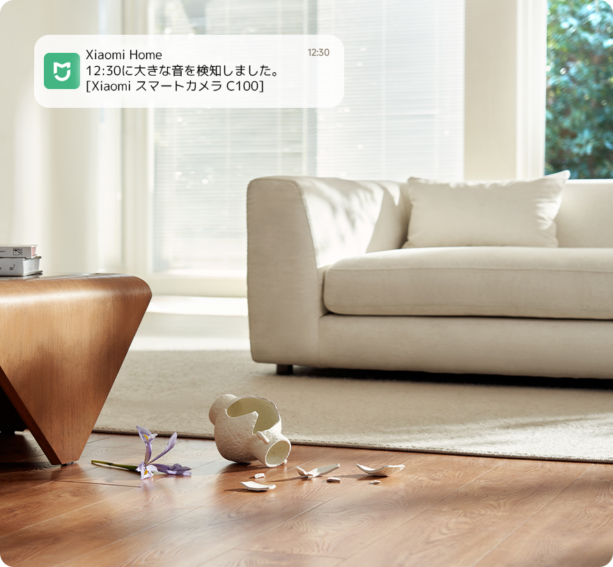 Xiaomi Smart Camera C100