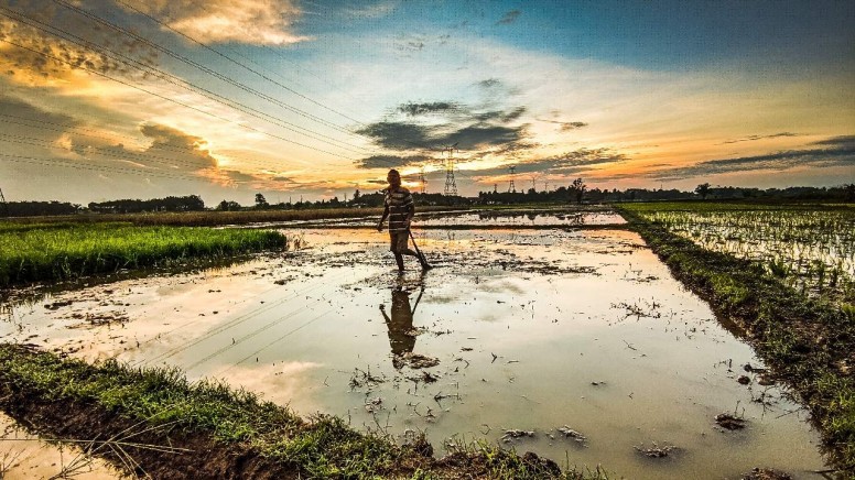 Cangkul Sawah Di Pagi Hari Fotografi Mi Community Xiaomi