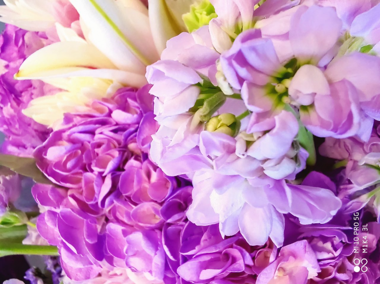 Thème de la semaine #Fleurs