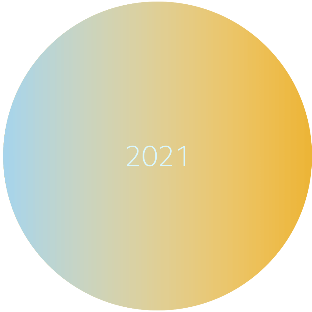 Propósitos 2021