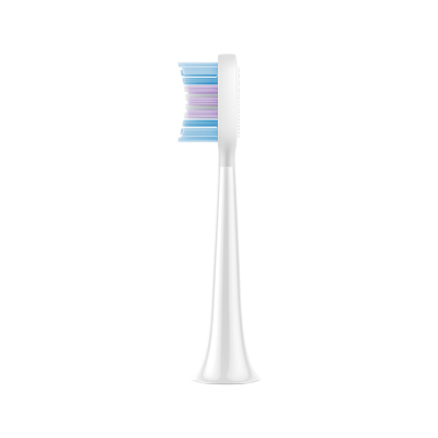 Xiaomi Smart Electric Toothbrush T501 Replacement Heads(White Pro)  Gris claro