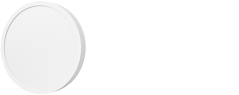 Xiaomi Smart Ceiling Light D20