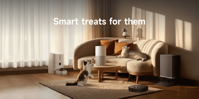 Video Cover Image Come and celebrate International Cat Day! 