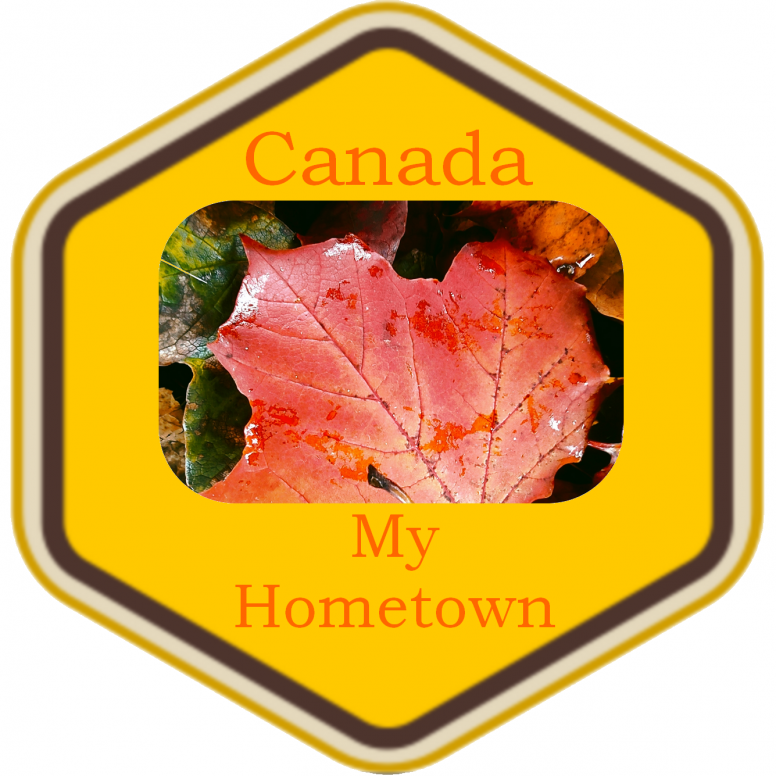 Hometown Medal Canada My Home Town .png