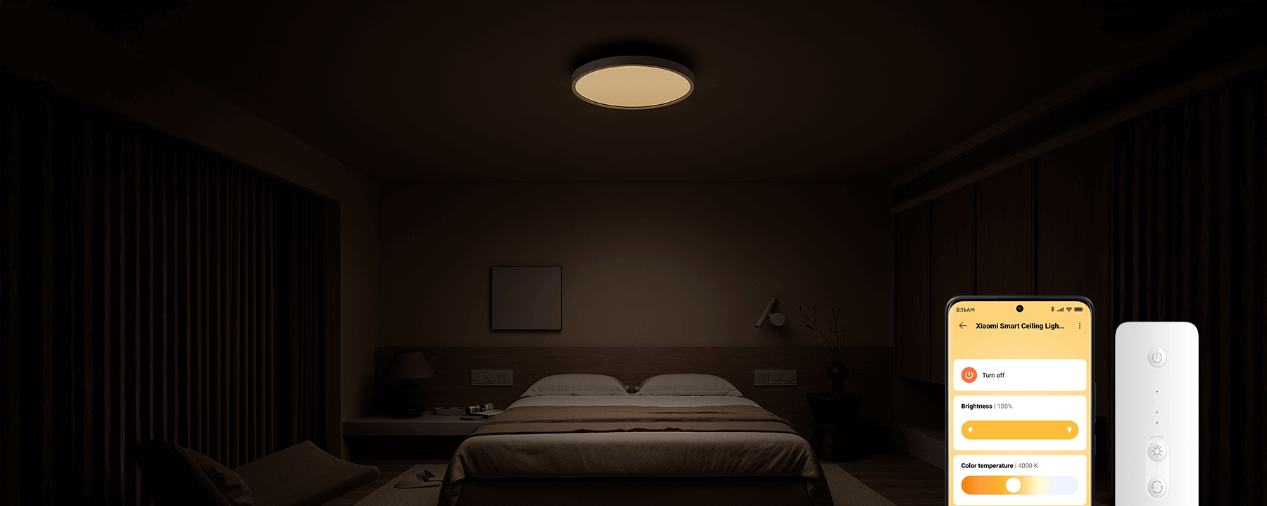 Xiaomi Smart Ceiling Light D30