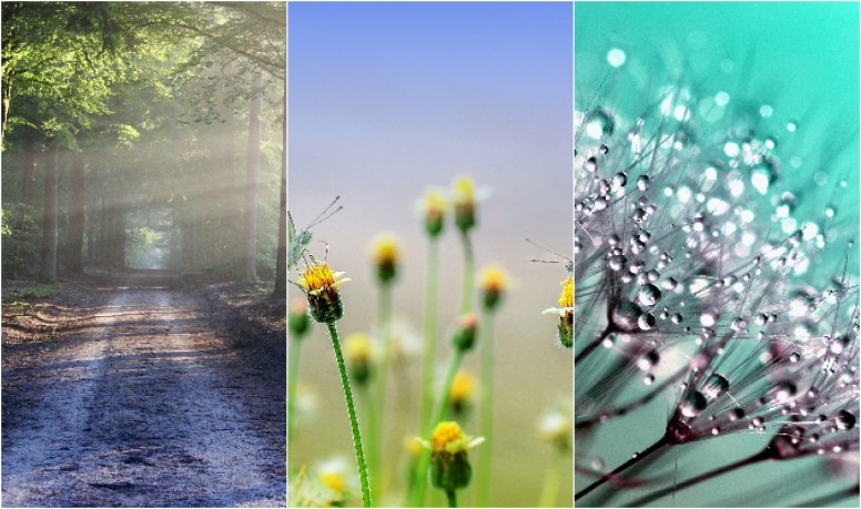 Wallpaper - Mi Community - Xiaomi