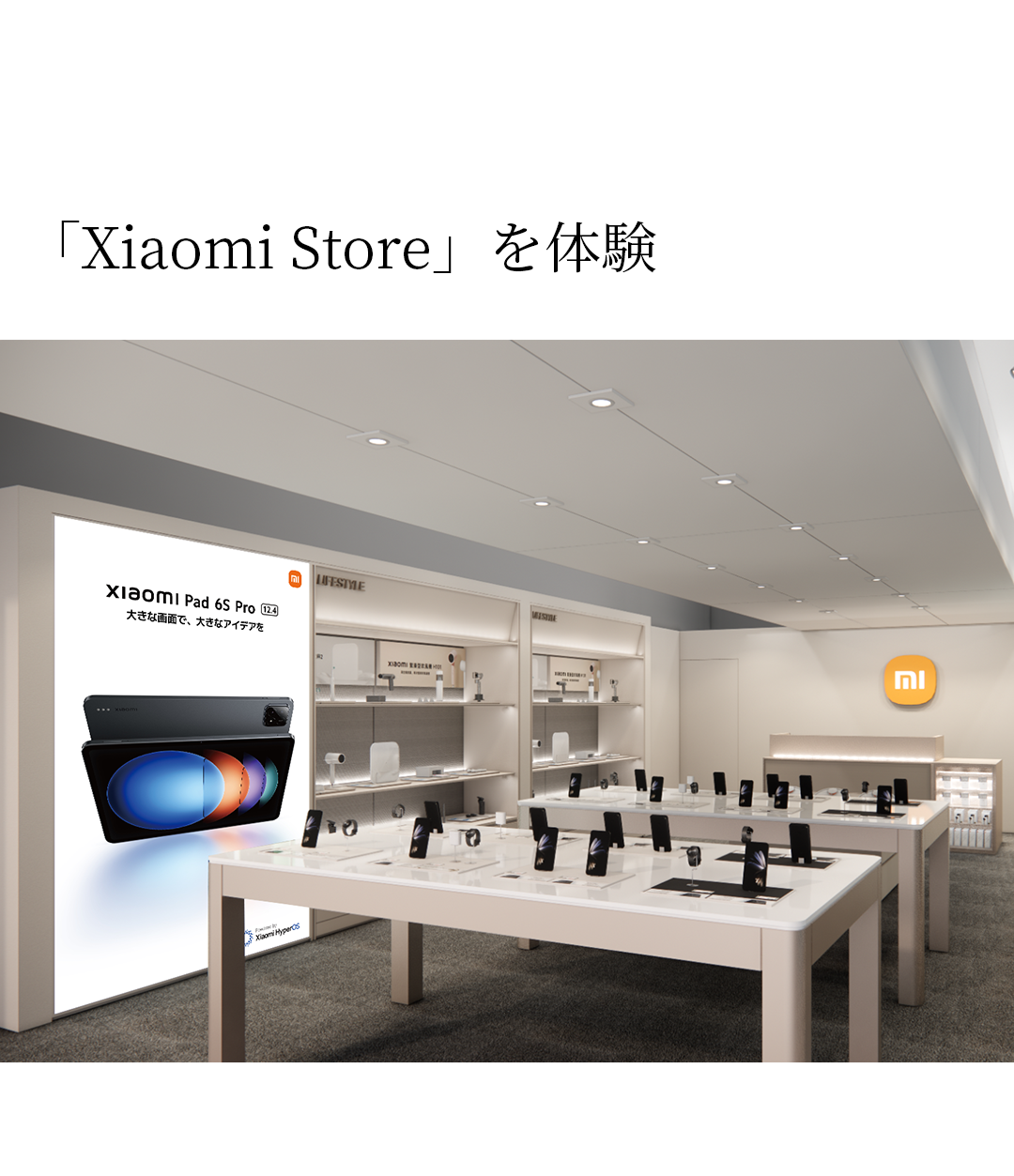 【Miyo】おまとめ購入ページ 鎌田店よりお知らせです🙇 本日、5/23(土)発売一番くじはこちらになり