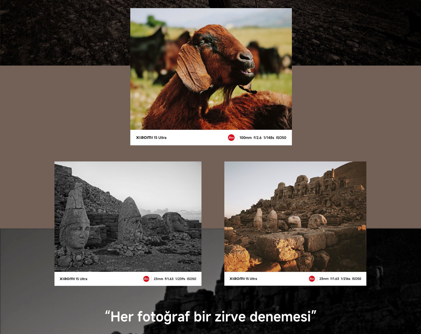 Bir keçi yeşil bir tarlada, arka plan bulanık. Aşağıda siyah beyaz eski bir kalıntı var, üst kısmında “Her fotoğraf bir zirve deneyimidir” yazısı bulunuyor.