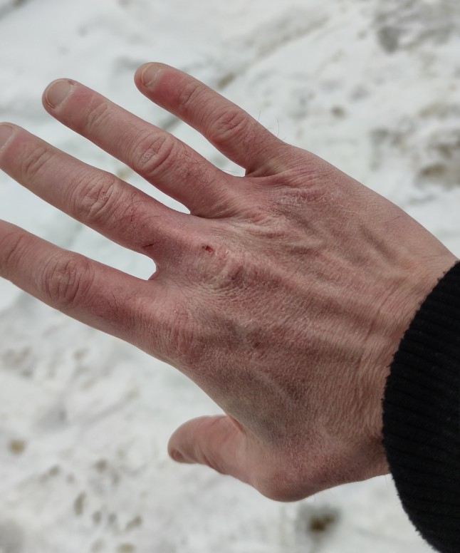 La neige, le froid, c'est de saison #MiExpat #MiRoutard