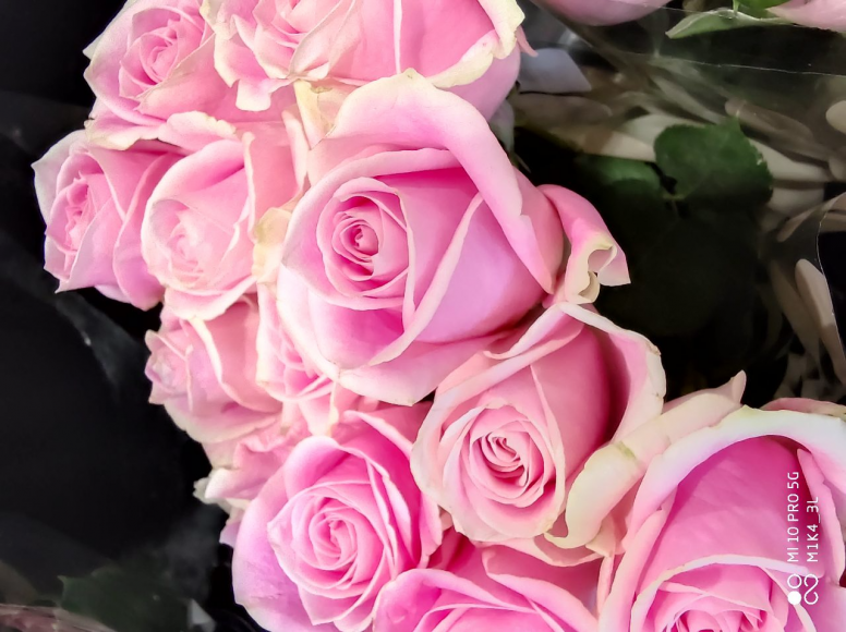 Thème de la semaine #Fleurs