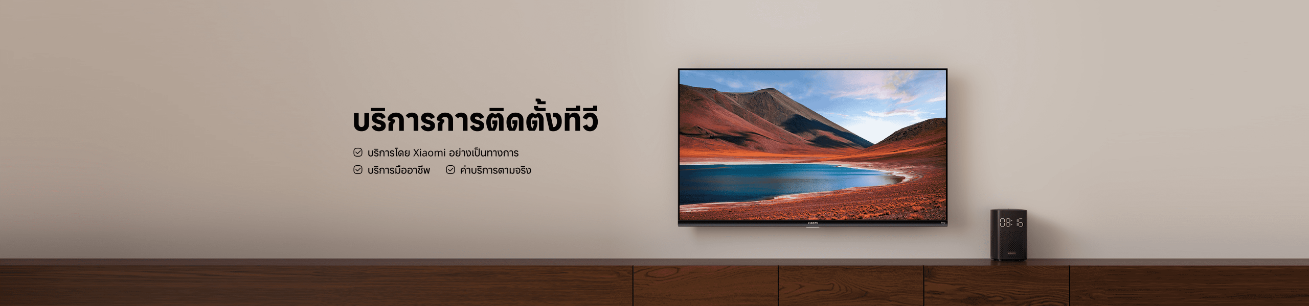 TV Installation Service