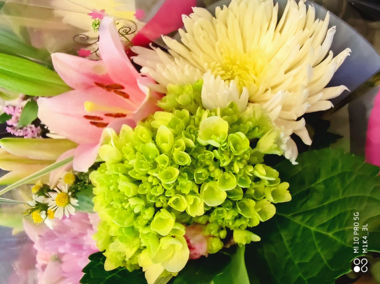 Thème de la semaine #Fleurs