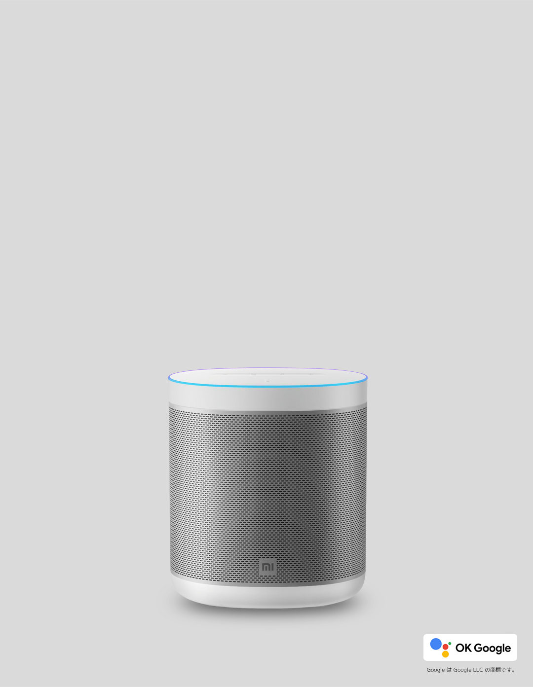 Mi Smart Speaker