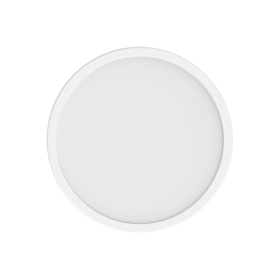 Xiaomi Smart Ceiling Light D20