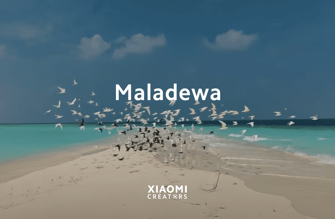 Perjalanan ke Maladewa	