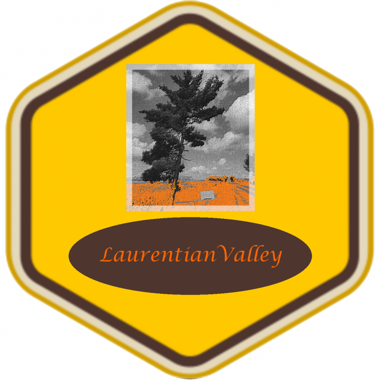 Hometown Medal Template Laurentian Valley.png