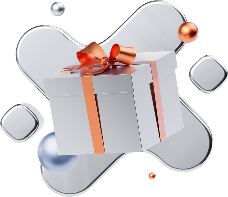 Xiaomi Fan Festival Special Edition