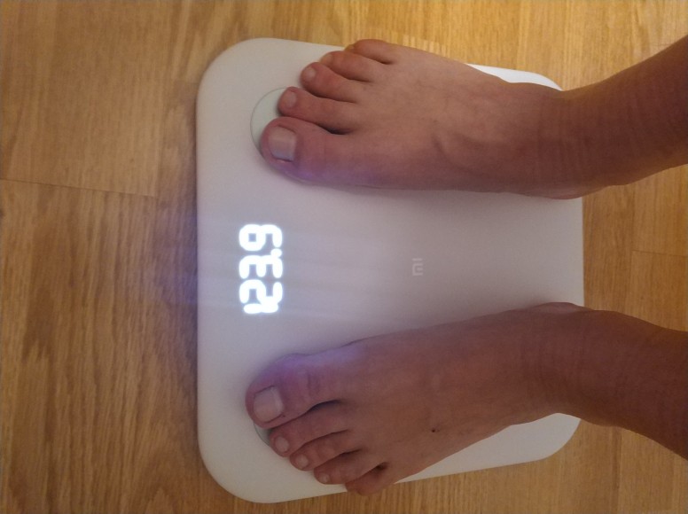 Sigma весы