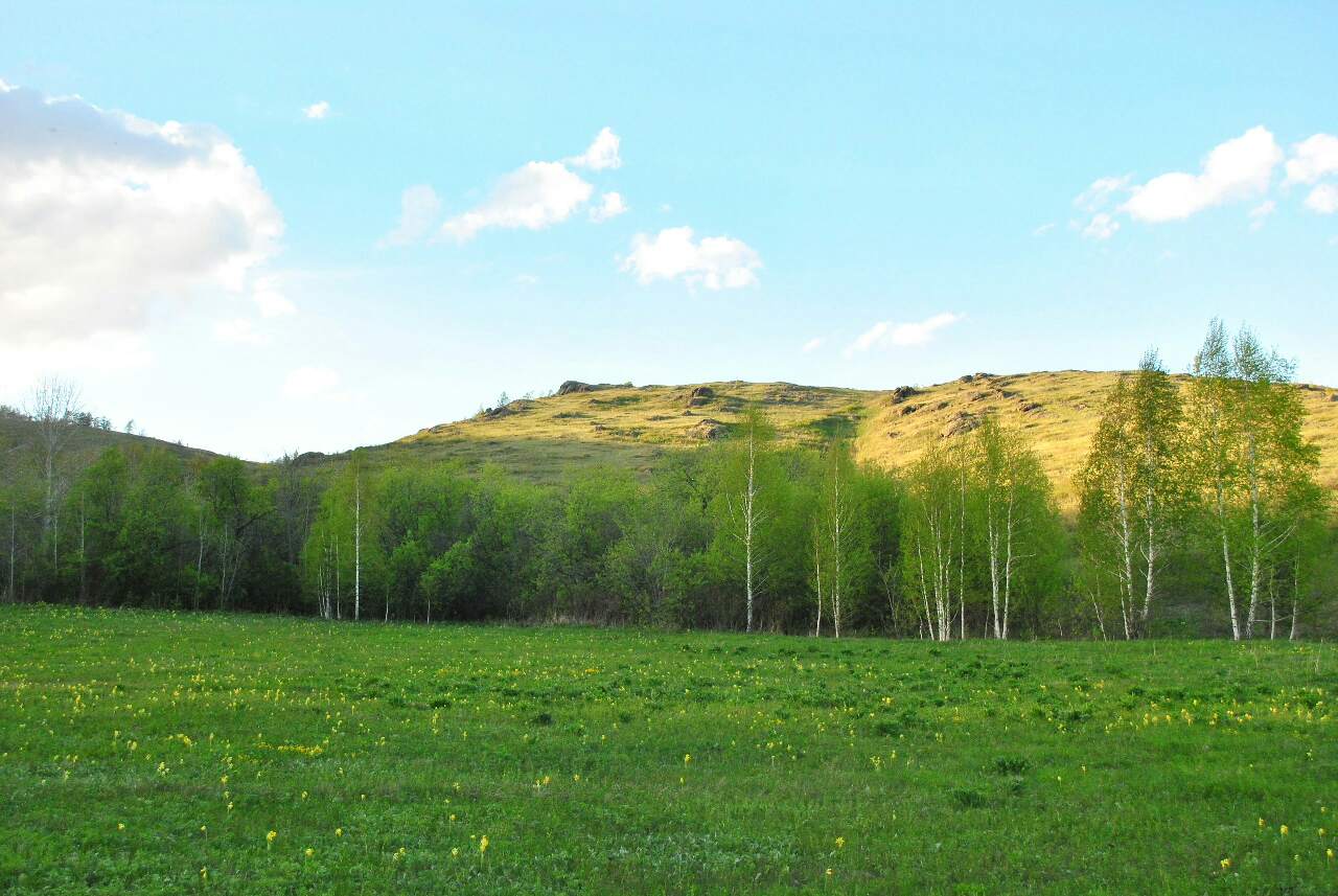 Челябинская обл п