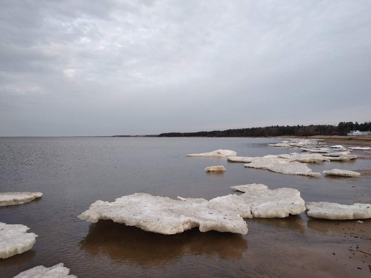 Погода финляндский округ. Красоты Выборгского залива вид с воды. Выборгский залив зимой.