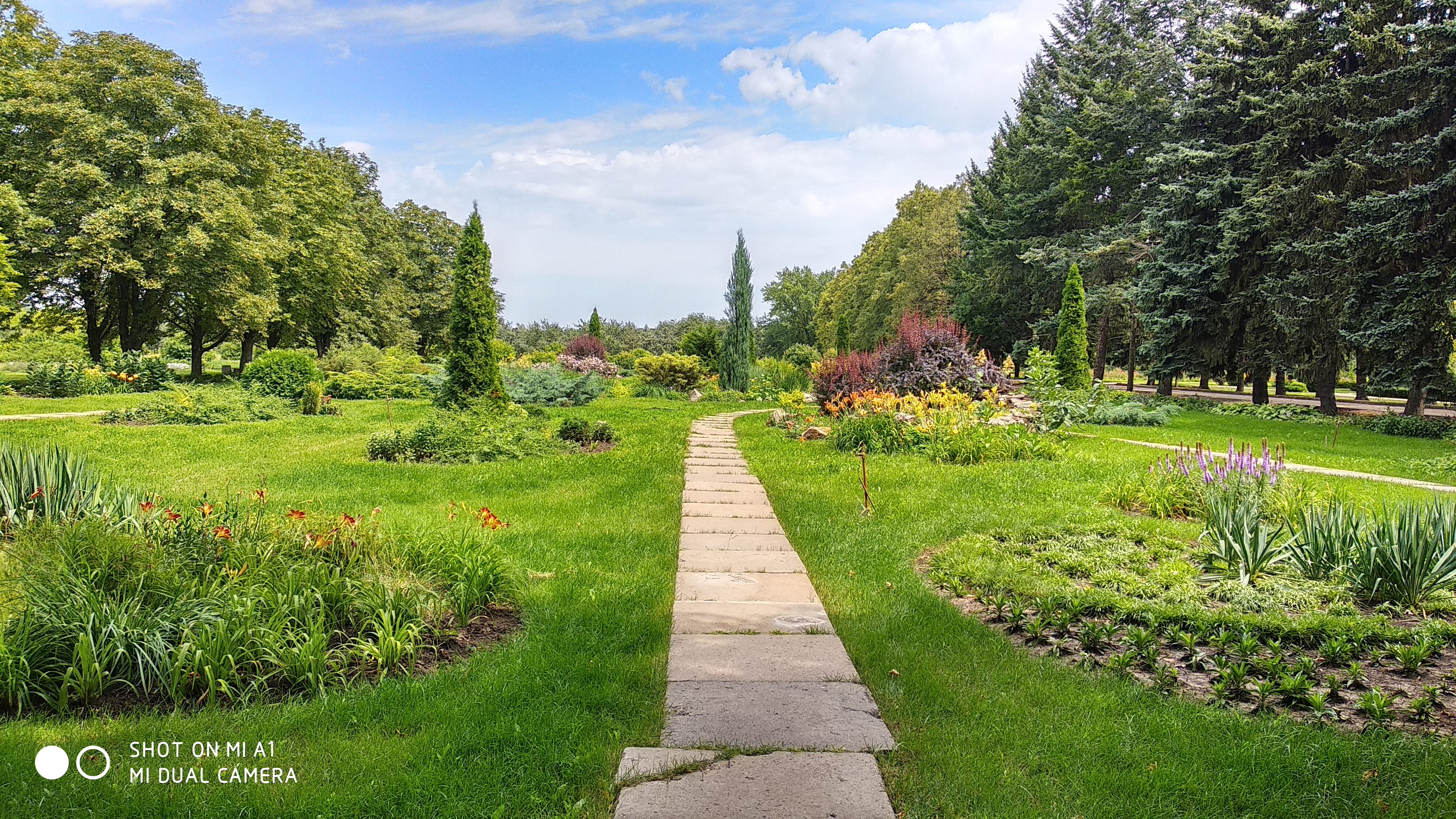 ботанический сад белгород фото