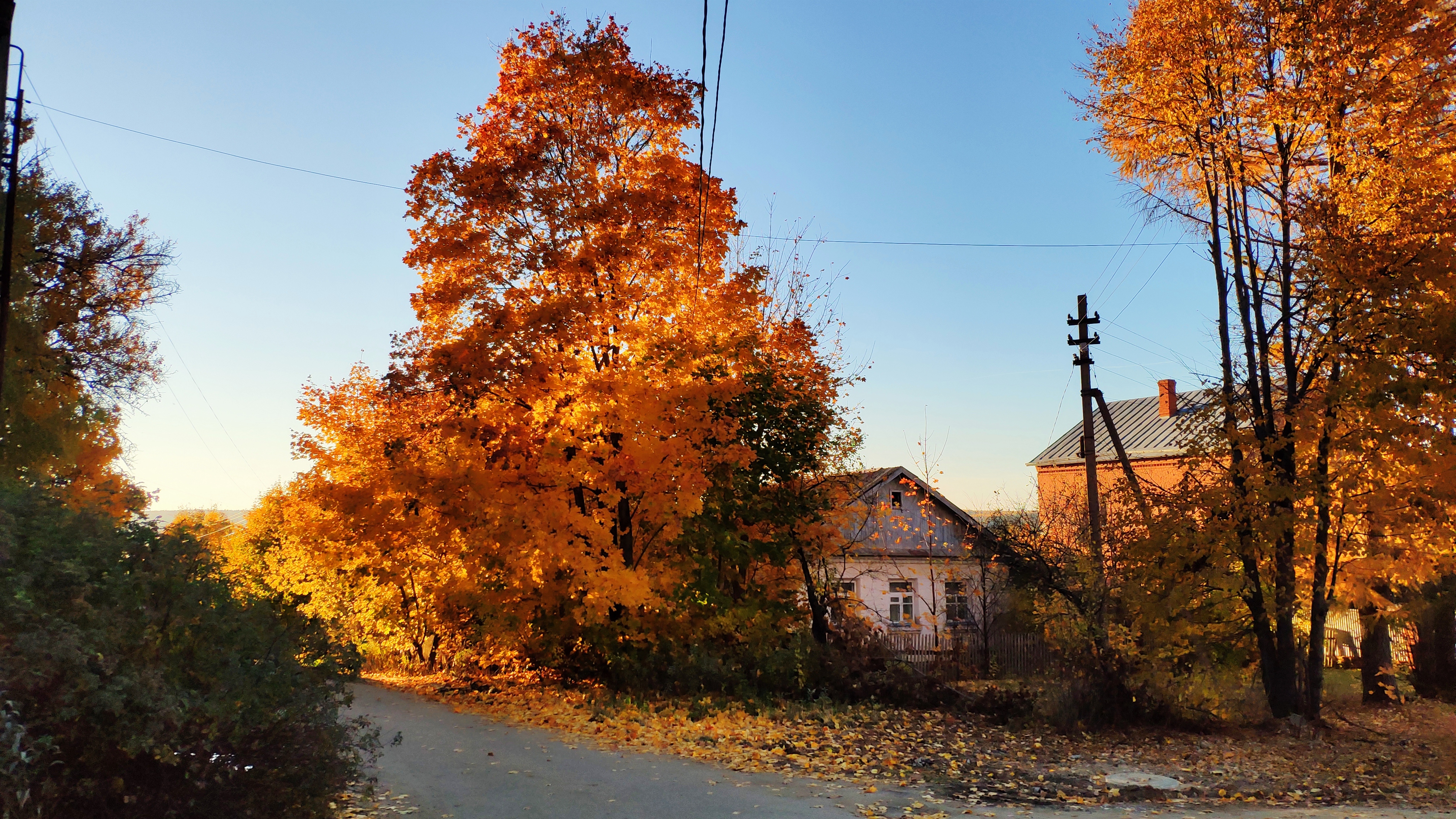 Осенний пейзаж Каменск-Шахтинский