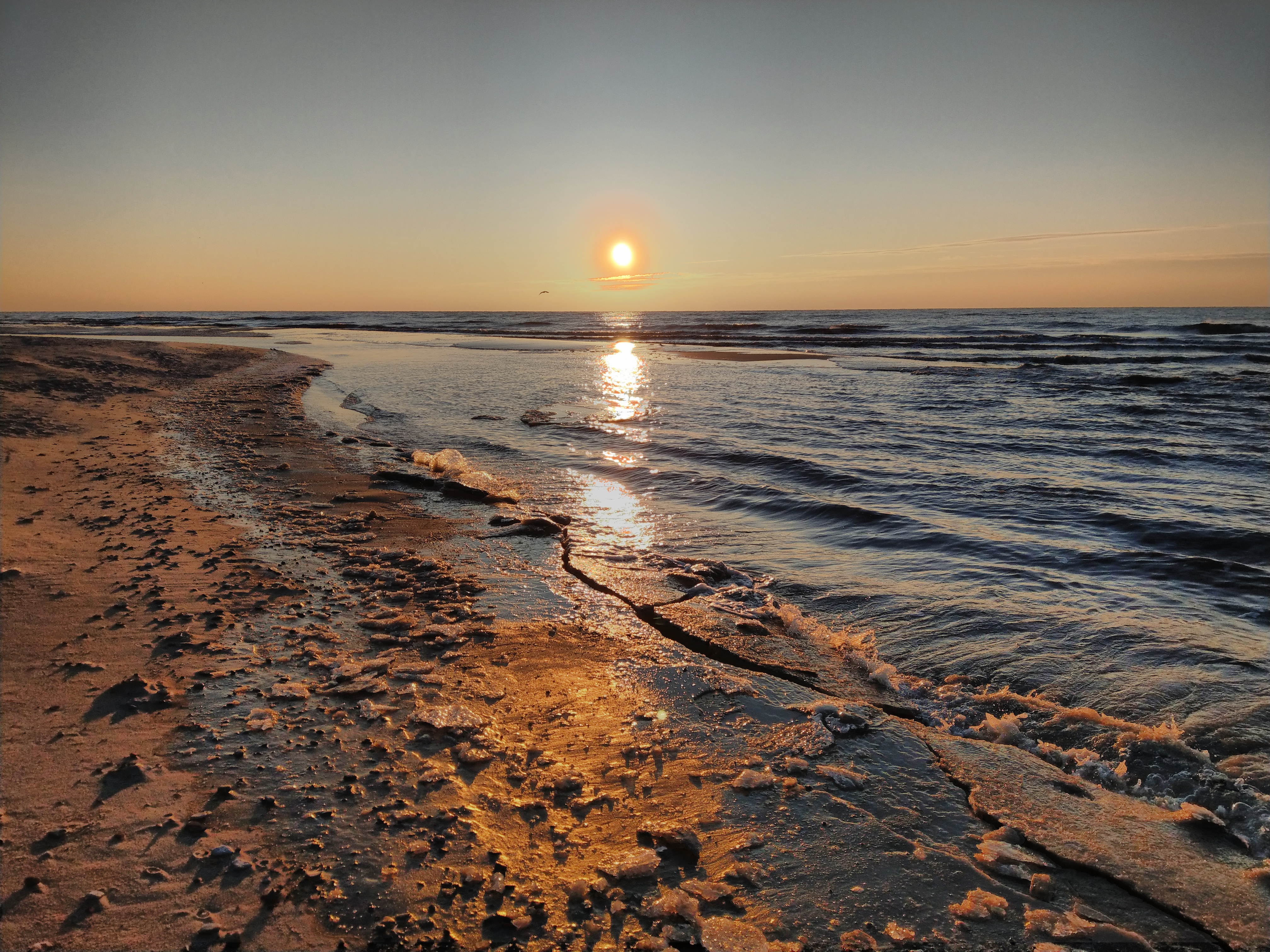 Балтийское Море Янтарь Фото