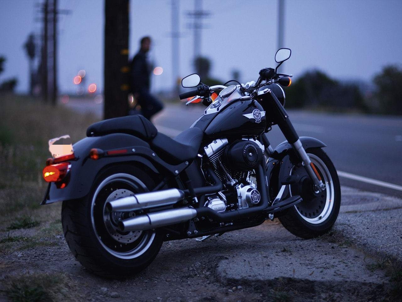 Harley Davidson Softail 2010