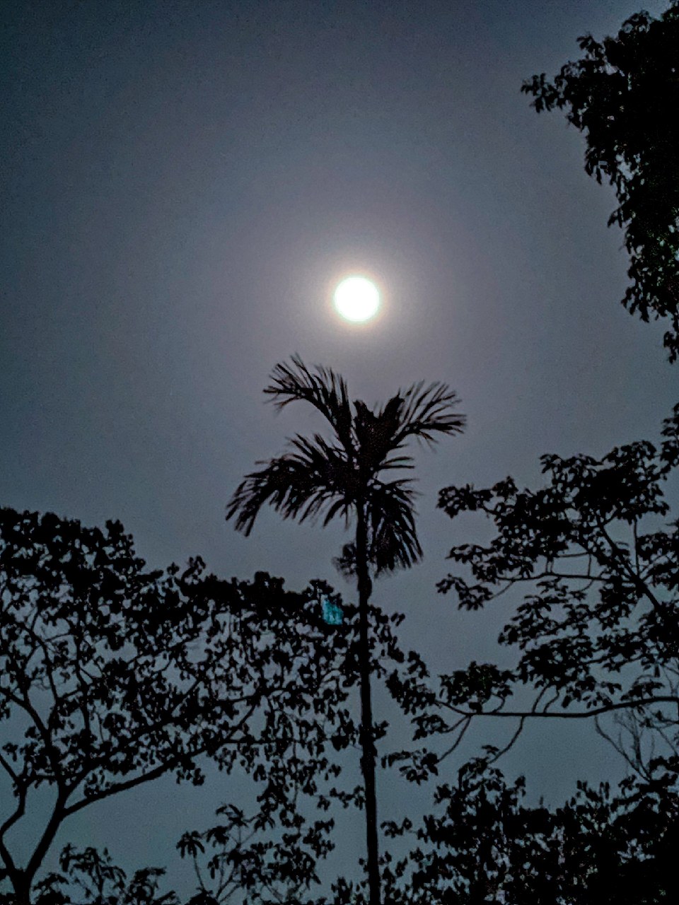 night moon by redmi7 - Photography - Xiaomi Community - Xiaomi