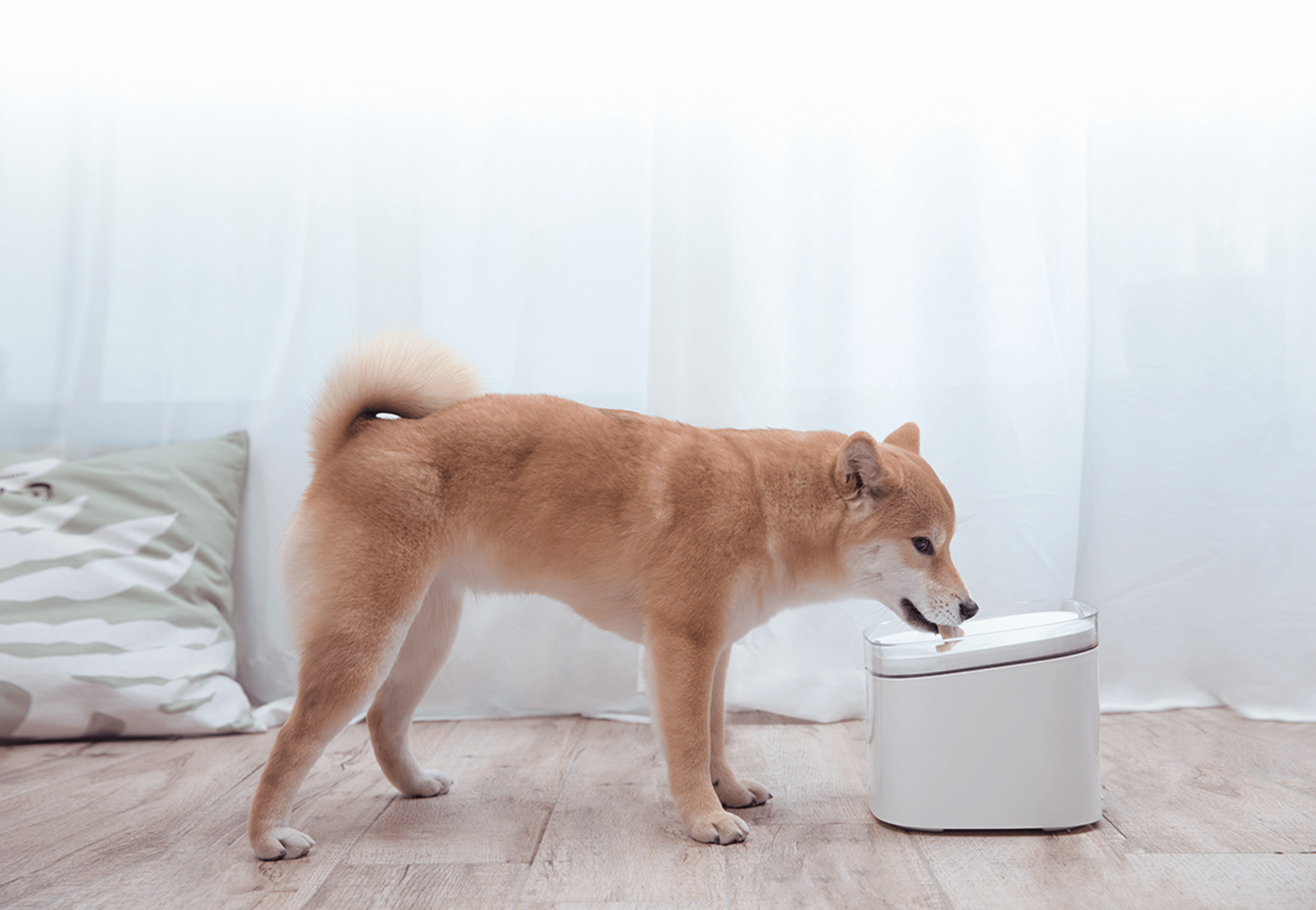 Xiaomi Smart Pet Fountain