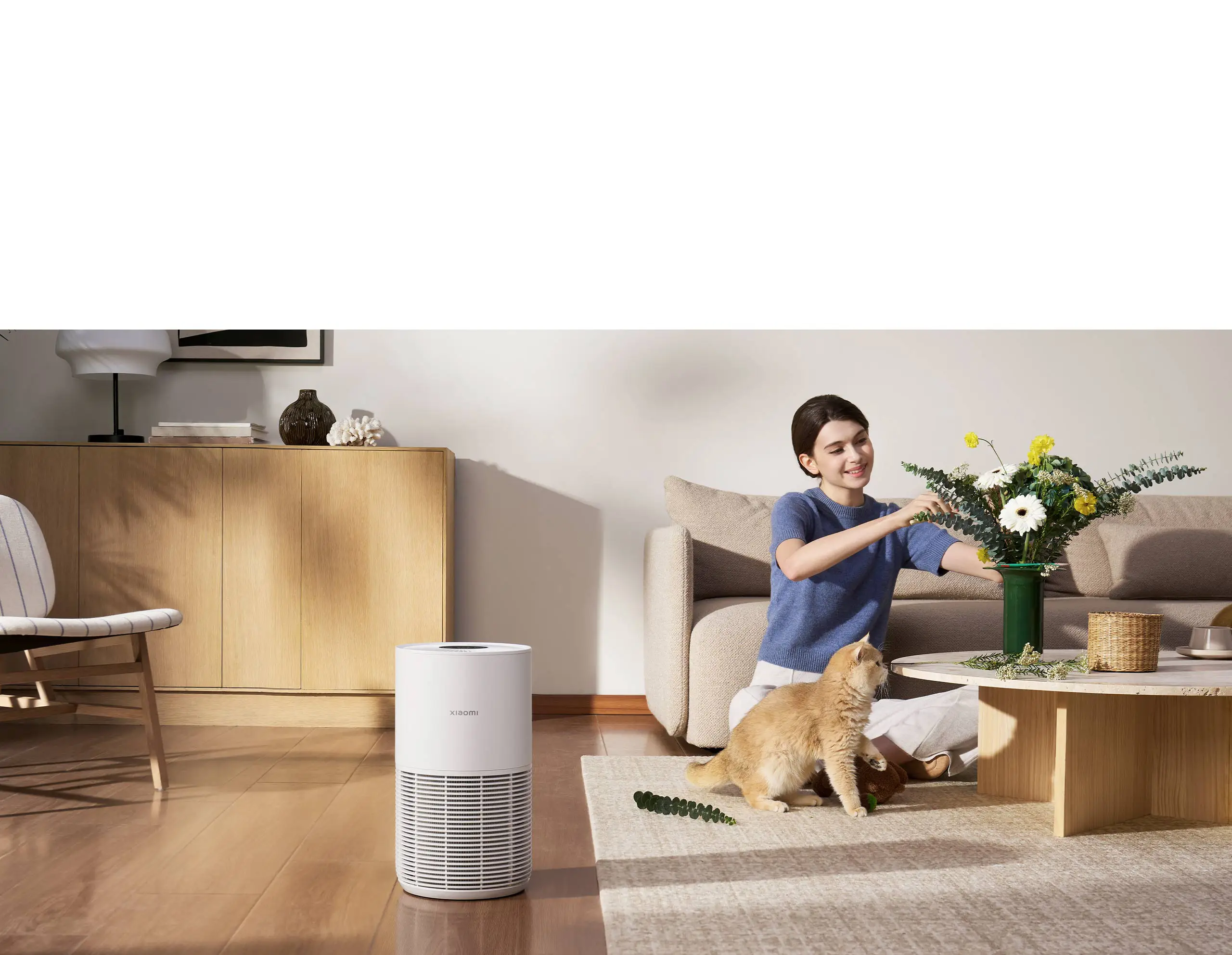 Xiaomi Smart Pet Care Air Purifier