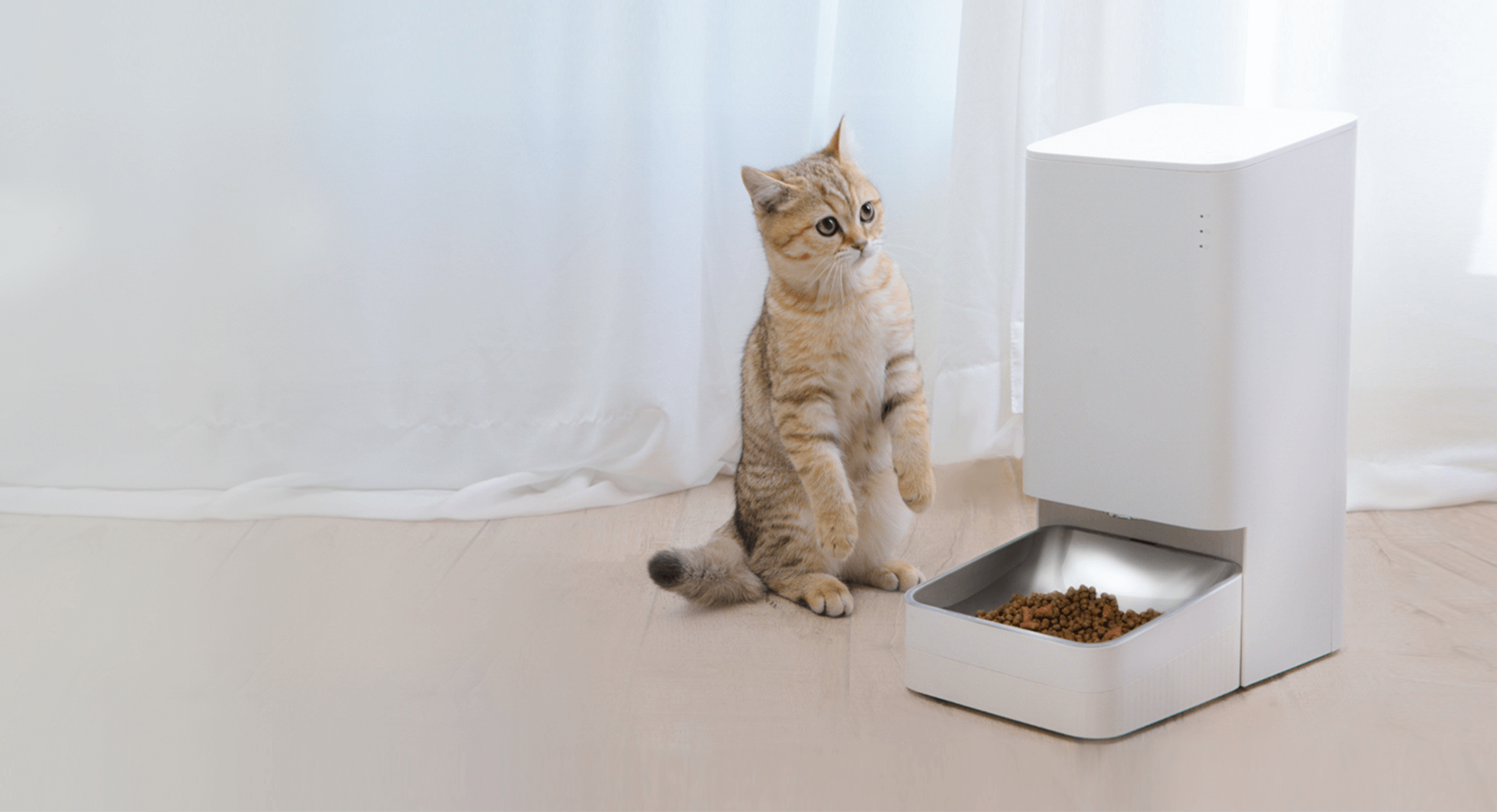 Alimentador inteligente de alimentos para mascotas Xiaomi