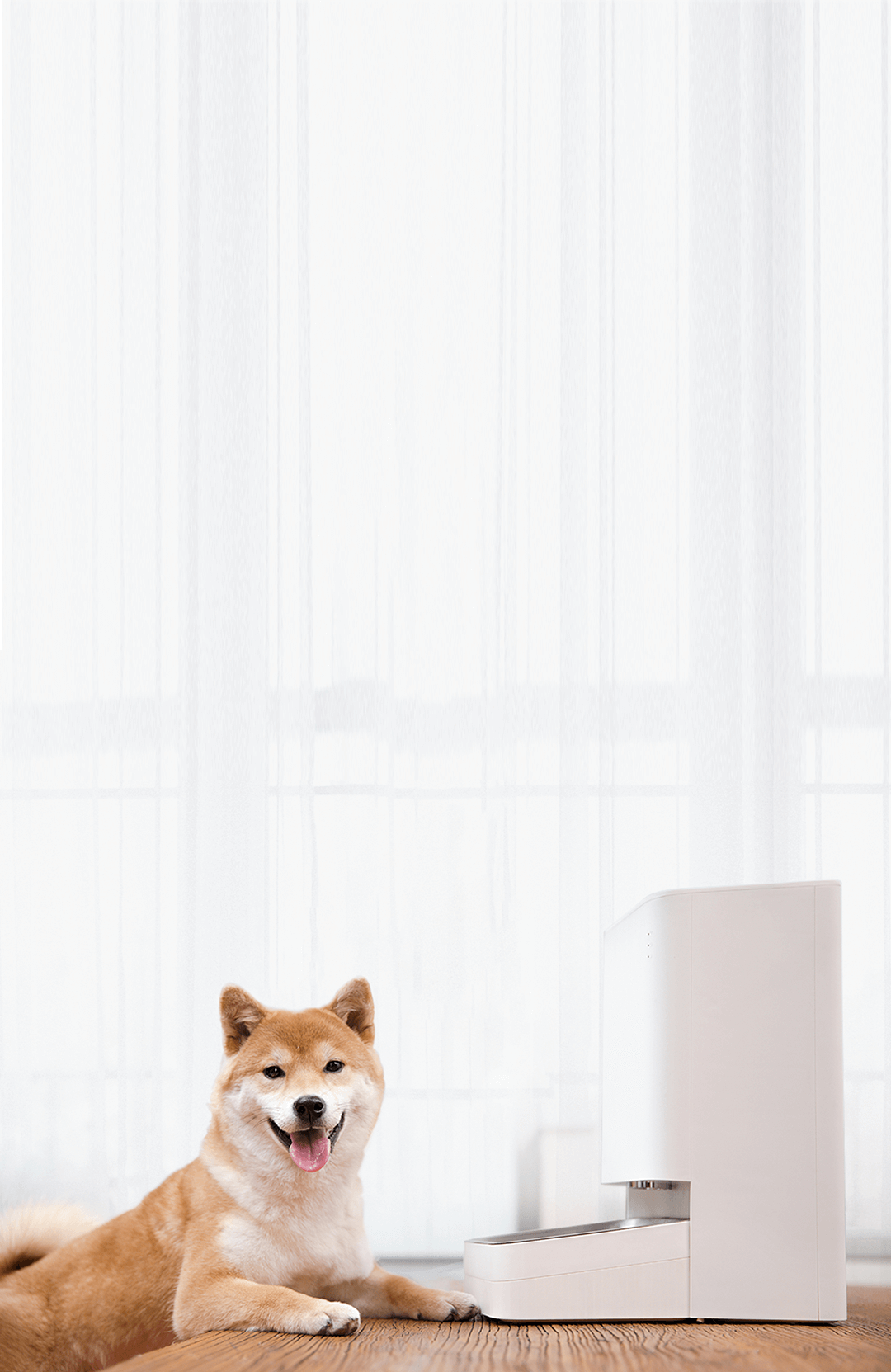 PAWBBY – Dispenser Acqua Smart per animali domestici Cani e Gatti Xiaomi