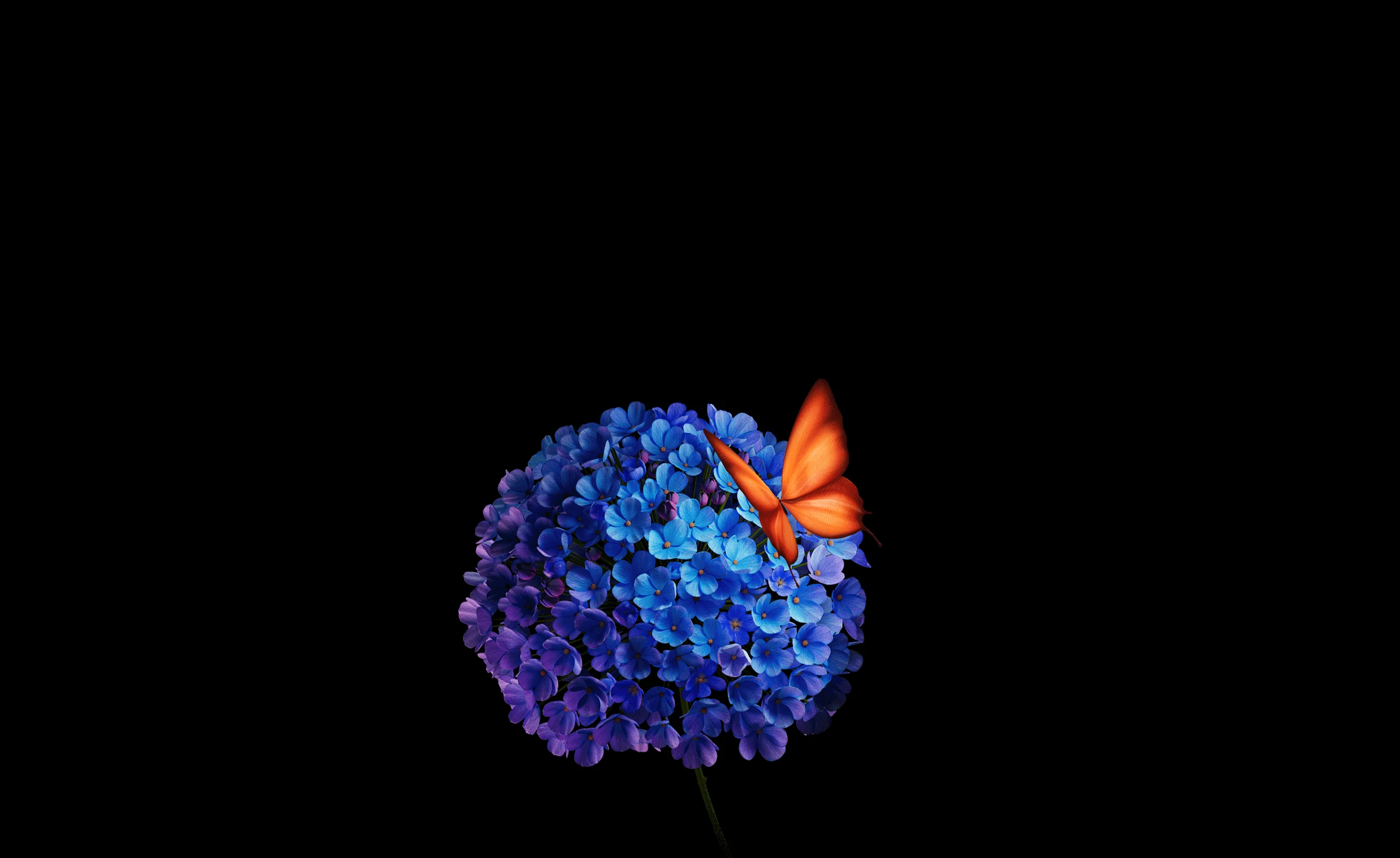bg-image